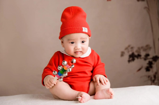 凤城宝宝是从哪里来的 凤城宝宝是从哪里来的